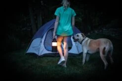 Nebo BIg Poppy RC Lantern 15 Nebo BIg Poppy RC Lantern -Outdoor World Direct eneb6908 16 fullsize